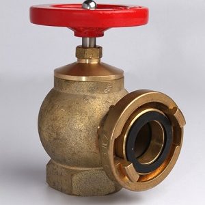 BSP Fire Hydrant